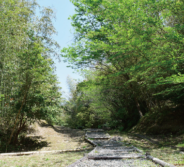 遊歩道でお散歩も