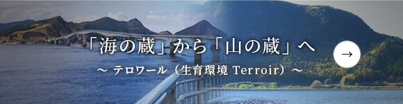 祁答院蒸溜所「海の蔵から山の蔵へ」はこちら