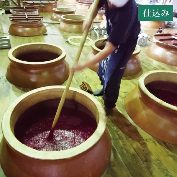 紫芋の芋焼酎で仕込むと、鮮やかな紫色のもろみ