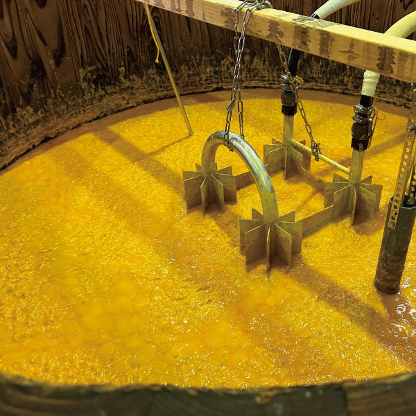 CEDARシリーズDAWN玉茜　木桶仕込み